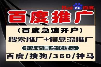 百度SEO推广案例解析与效果评估